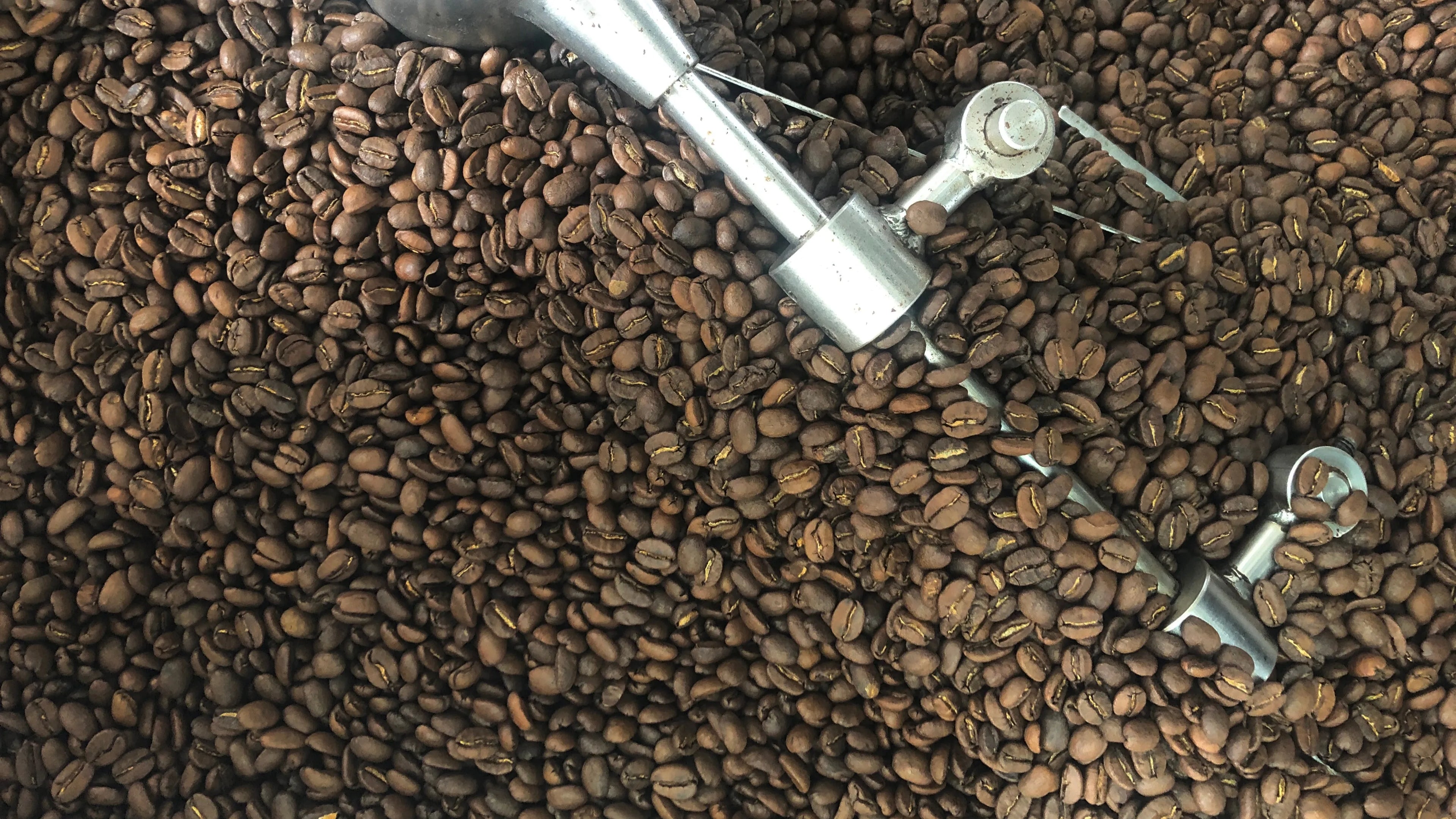 Tostado de café en proceso en Café Promor, casa tostadora especializada en café de especialidad. Granos recién tostados listos para ofrecer calidad y sabor únicos.